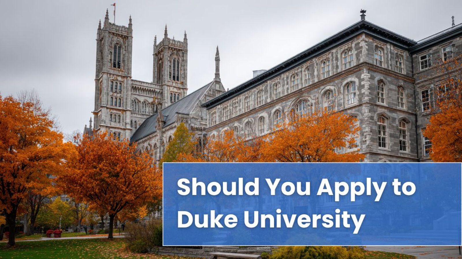 Should You Apply to Duke University? Let’s Break It Down