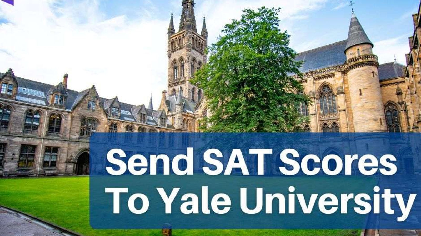 How To Send SAT Scores To Yale University? A Complete Roadmap with IvyStrides