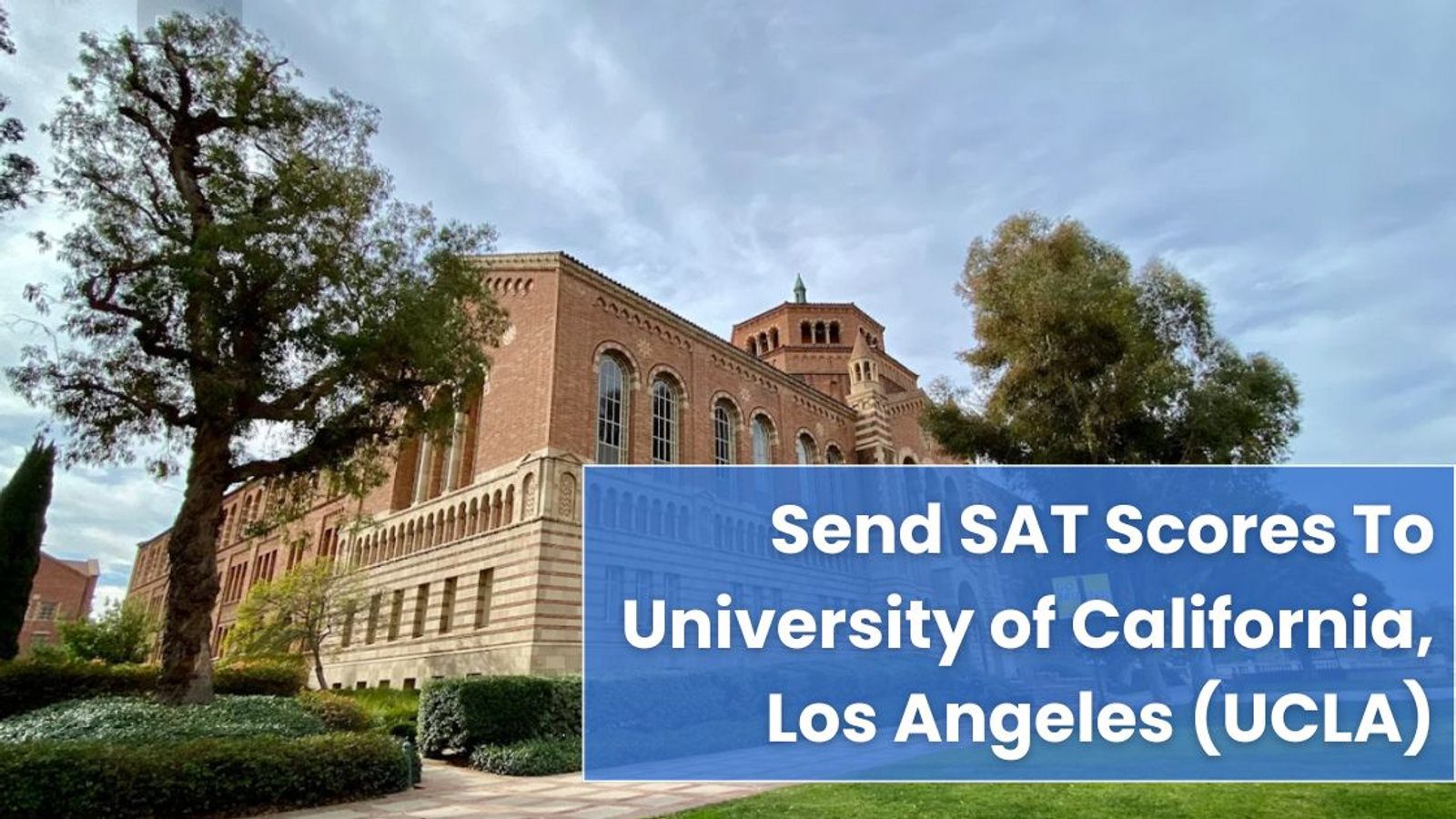 How to Send SAT Scores To the University of California, Los Angeles (UCLA)? A Complete Roadmap with IvyStrides