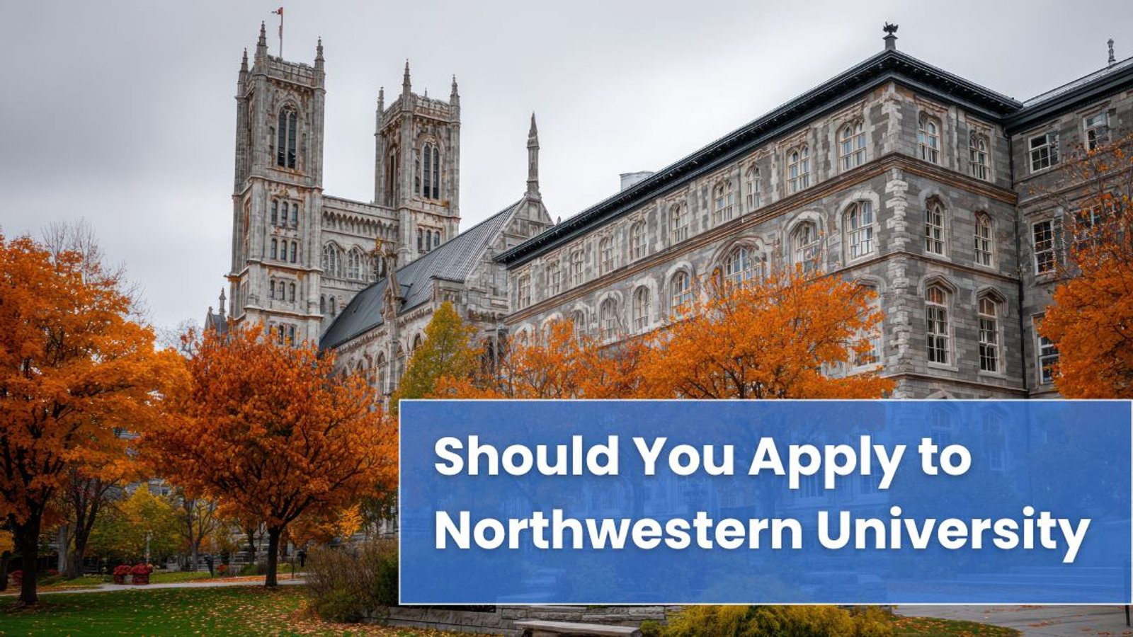 Should You Apply to Northwestern University in 2026? SAT Strategy, ED Odds, and Insider Admissions Insights