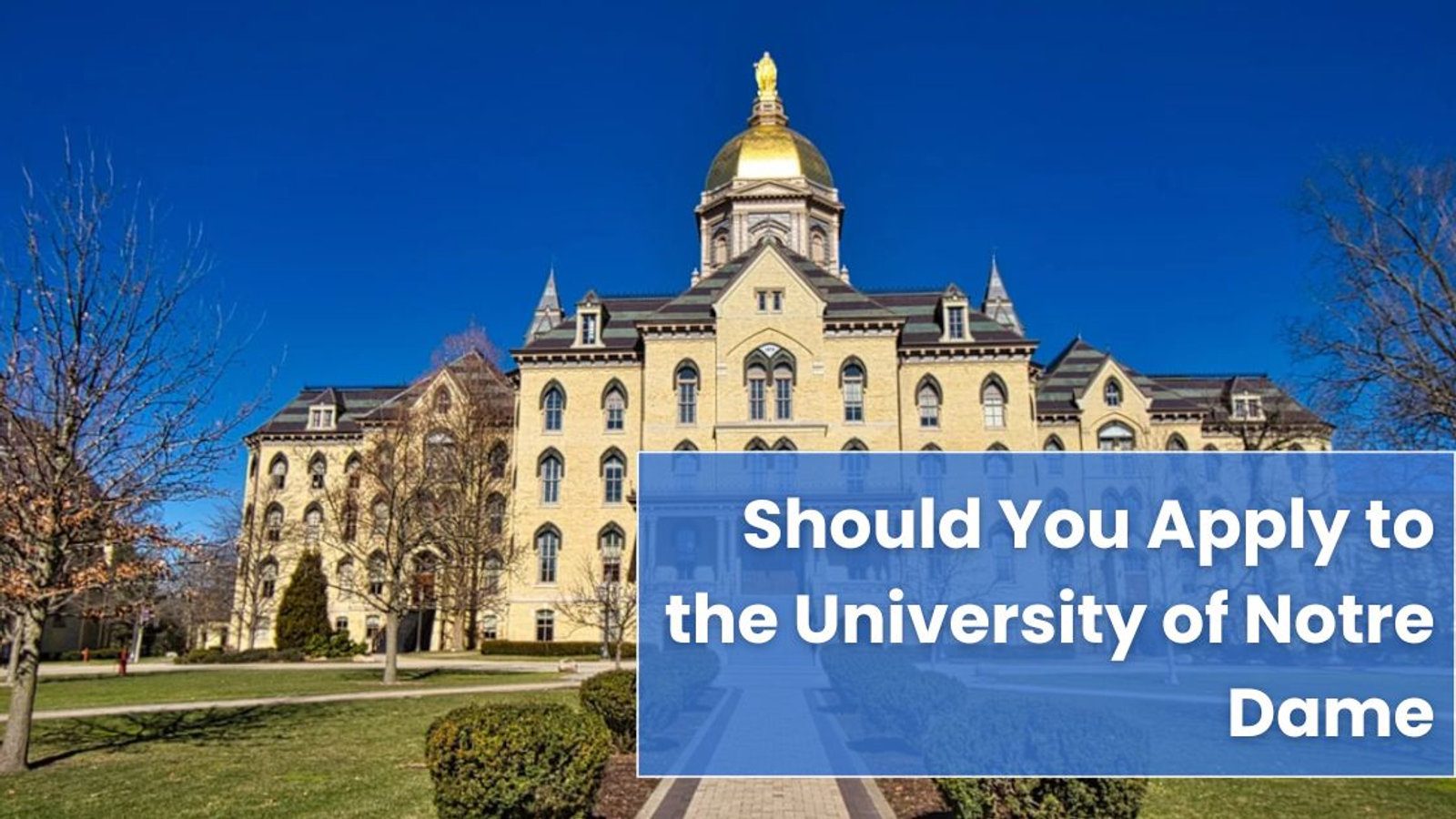 Is Notre Dame University the Right Fit for You? A Comprehensive Guide