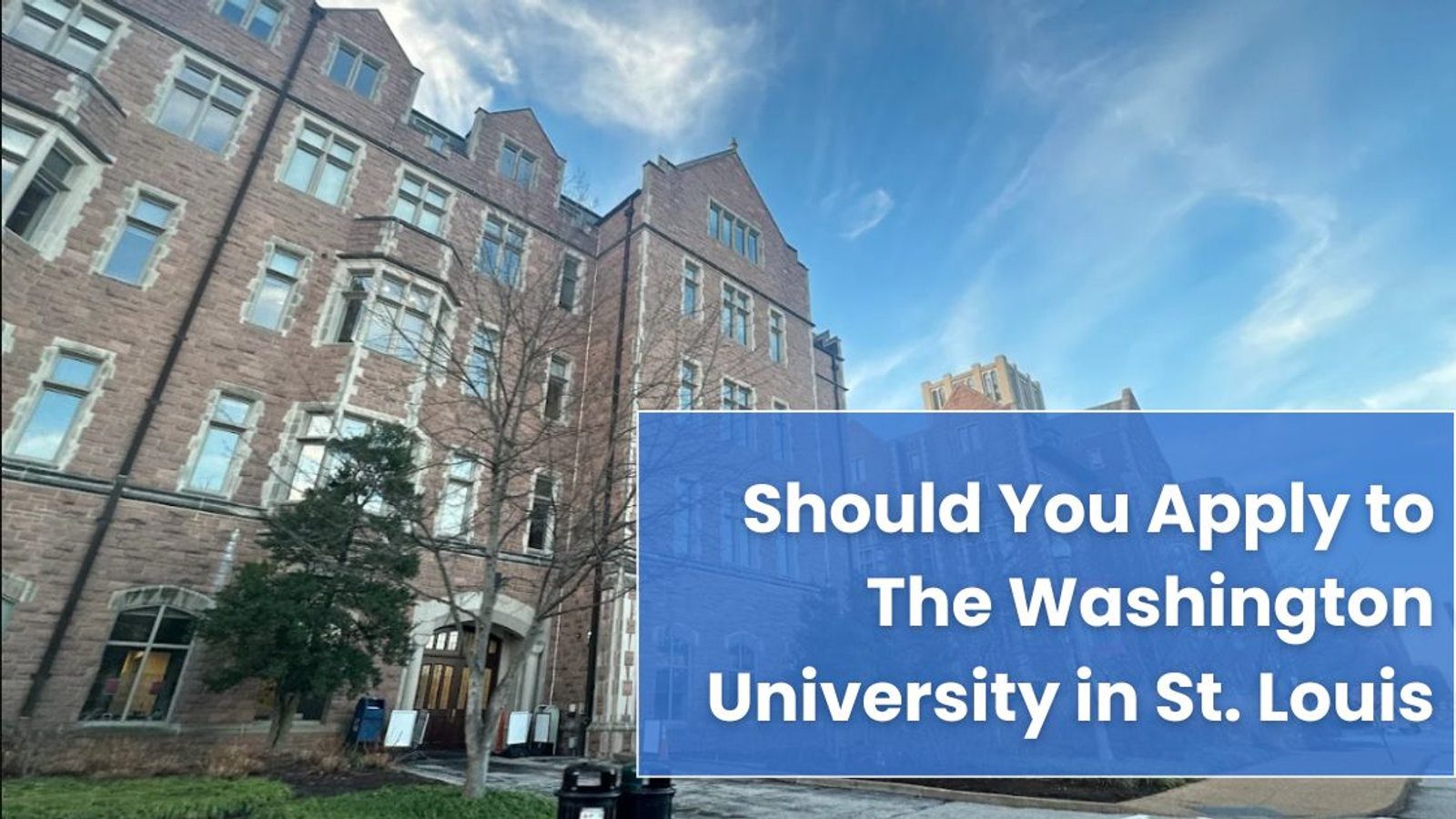 Should You Apply to The Washington University in St. Louis? A 360° Decision Guide