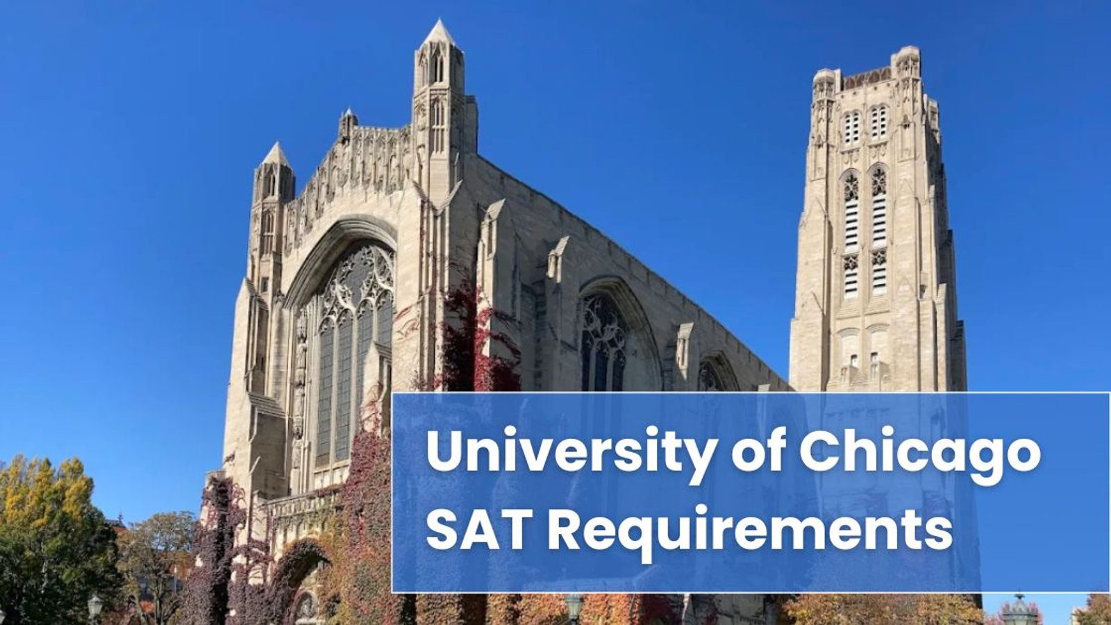 University of Chicago SAT Requirements 2026: Should You Apply? Let’s Talk About It