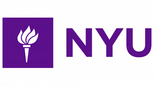 New York University